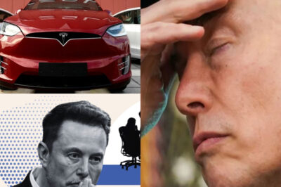 BREAKING: Elon Musk Faces Mounting Pressure From Investors as Tesla’s Profitability Plunges — Behind-the-Scenes Panic Grows, and Rumors Swirl About What Musk Might Be Forced to Do Next