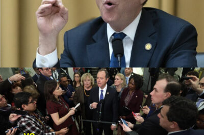 Adam Schiff FREAKS OUT on Court & To Be REMOVED as SENATOR After He POSTED THIS about Judge Jeanine