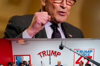 Hosts OBLITERATE Professional Race Baiting Activists On Live TV