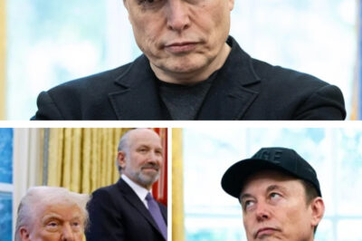 Musk urges lawmakers to ‘kill the bill’, but Republicans aren’t walking away