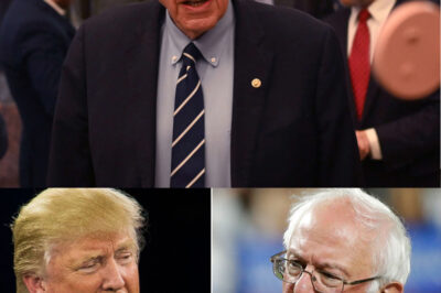 Bernie Sanders Insults Trump on Live TV — Trump’s Next Speech Makes Sanders Collapse in Regret