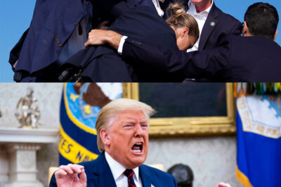 Woke Reporter Try Donald Trump & FAIL Miserably