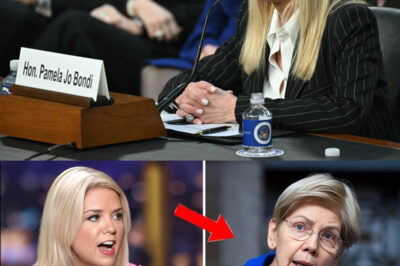 Pam Bondi Got Threatened by Elizabeth Warren—Then Bondi Humiliated Her With One Sentence