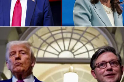 ‘Channel economic anger’: How Democrats can reach working class voters