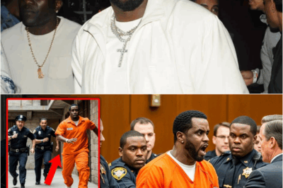 1 MINUTE AGO: Diddy attacks his lawyers VIOLENTLY after first ‘prison bre.ak’ fail
