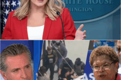 ‘UNACCEPTABLE’: Karoline Leavitt unloads over ABC journalist’s tweet