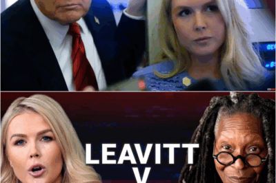 The View hosts slammed after saying Trump only hired Karoline Leavitt because ‘she’s a 10’