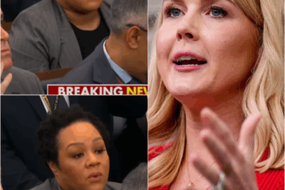 White House press secretary Karoline Leavitt calls an NBC reporter’s question ‘ridiculous’ after pushback over Trump’s video shown to South Africa’s president