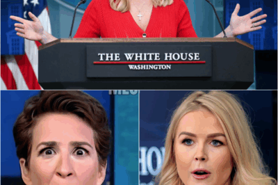 Karoline Leavitt Denied Entry to VIP Lounge—Seconds Later, She Turns the Tables in the Most Jaw-Dropping Way