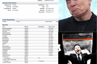 After Elon Musk Posts Drug Test Showing Negative Results, NY Times Accuses Mogul of Continuing to ‘Lash Out Because He Doesn’t Like Our Reporting’