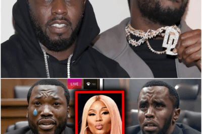 Meek Mill In TEARS After Nicki Minaj CONFIRMS His SECRET Relationship With Diddy!