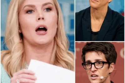 TV FIRESTORM ERUPTS as Rachel Maddow and Karoline Leavitt’s Explosive On-Air Showdown Leaves Viewers Stunned—Tensions Boil Over When Leavitt’s Provocative Remarks Trigger Maddow to Shout “How Could You Be So Stupid?” and Demand Security Remove Leavitt from the Set, Plunging the Studio into Chaos; Media and Fans Are Left Reeling, Desperate to Know What Was Said in That Heated Exchange, Why Maddow Lost Control, and What This Shocking Confrontation Means for the Future of Live TV Debates—Could This Be the Most Dramatic On-Air Meltdown Ever Seen?
