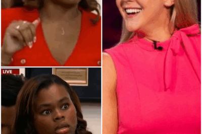 BREAKING NEWS: Karoline Leavitt Shuts Down Reporter Over L.A RI0T Lies—And What She Said Left the Room in Shock