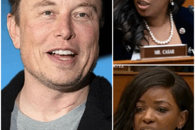 THIS JUST HAPPENED: Elon Musk Becomes a HERO After HUMILIATING Jasmine Crockett – Her SH.0.C.KING Exit from the Stage Leaves Viewers Stunned! Elon Musk became an unexpected hero during a live broadcast when he utterly demolished Jasmine Crockett with a savage takedown that left her speechless. His unrelenting words exposed Crockett’s ignorance, causing her to storm off the stage in humiliation. What exactly did Elon Musk say that forced Crockett to leave the stage? The shock