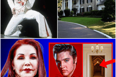Elvis Presley’s Hidden Attic Opened at Graceland 48 Years After His Death