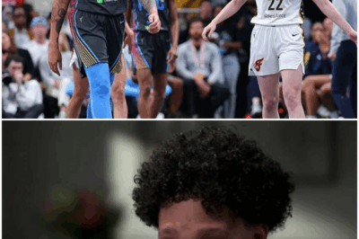 Calls Grow for WNBA to Launch Investigation into Brittney Griner