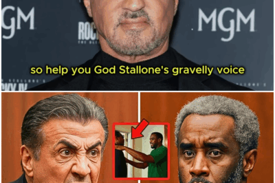 Sylvester Stallone BREAKS Silence: Diddy and Clive Davis Linked to ‘Freak Offs’!