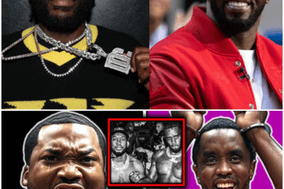 Meek Mill Just BROKE Diddy’s NDA In Court | Birthday Clip Had Everyone STUNNED