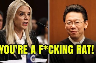 Arrogant Judge Edward Chen Insults Pam Bondi in Court—Minutes Later, He’s Dragged Out in Handcuffs