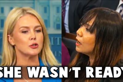 BREAKING NEWS: Karoline Leavitt Shuts Down Reporter Over L.A RI0T Lies—And What She Said Left the Room in Shock