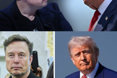 Why the Trump/Musk explosion shocked everyone and surprised no one