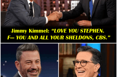 “LOVE YOU STEPHEN. F— YOU AND ALL YOUR SHELDONS, CBS.”
