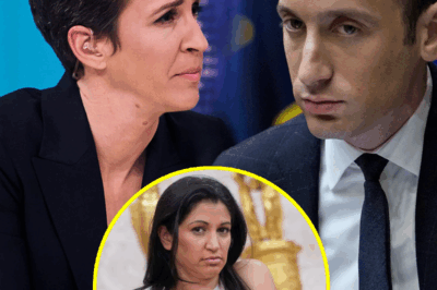 Rachel Maddow Destroys Stephen Miller on Live TV: One Line Shakes Washington