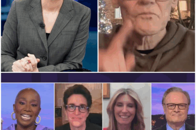 Turmoil Erupts at MSNBC: Rachel Maddow Defies New Boss in Bold On-Air Rejection — What Happened Next Left the Network in Chaos