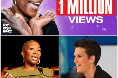 EXCLUSIVE: MSNBC Thought They Silenced Their ‘Dangerous’ Host. Four Months Later, Joy-Ann Reid Has 160,000 Paying Fans—and a Media Empire That’s Making Her Old Bosses Panic