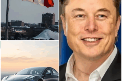 SHOCKING REVELATION: The whole world was stunned by Elon Musk’s 7-word statement about a long-hidden truth: “I think this is the right time for everyone to know”!