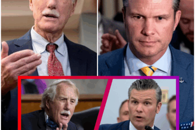 Pete Hegseth LOSES CONTROL after Angus King tells him to SHUT UP IDIOT