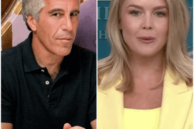 BREAKING NEWS: Leavitt Asked Point Blank About DOJ & FBI Claiming Jeffrey Epstein Had No Client List