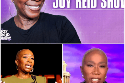 EXCLUSIVE: What MSNBC Thought Was a Victory Has Transformed into a Media Phenomenon for Joy-Ann Reid