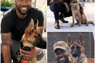 More Than a Companion: How Lawrence Jones’ Service Dog Nala Became His Lifesaver—And His Mission