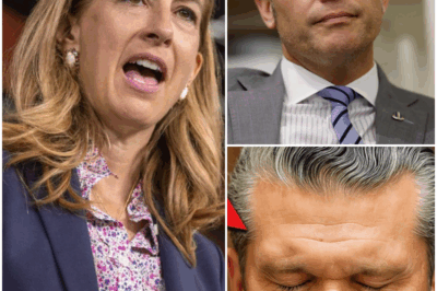 Pete Hegseth Faces the Toughest Day of His Career After Live TV Showdown With Democratic Representative: “Useless” Accusation Sparks Firestorm