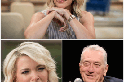 When Winter Fell on Live TV: Robert De Niro’s Eight-Word Blizzard Silences Megyn Kelly—A Frost That Stopped the Studio, Shifted the Seasons, and Redrew the Map of Power