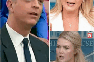 Karoline Leavitt Tried to Slam a Federal Judge at the White House Podium—But NBC’s Garrett Haake Instantly Exposed Her Falsehood: “That’s Just Not True, Karoline.”