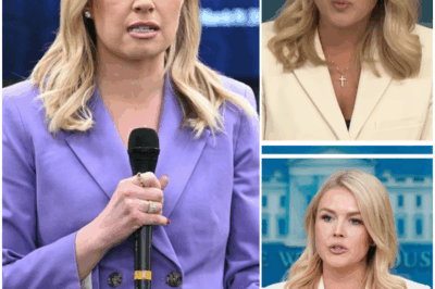 When Even Jackie Heinrich From Fox News Couldn’t Tolerate the Bare-Faced Lies Any Longer — She Pushed Back, and Karoline Leavitt Lost Control on Live Television