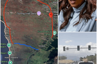 Did Oprah Winfrey refuse to open private Maui road during Hawaii tsunami evacuation? Backlash grows