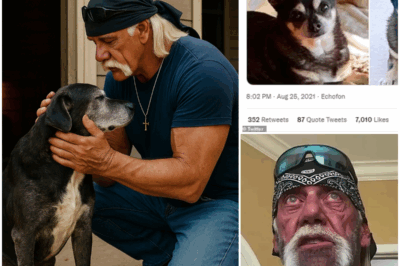 The Last Shelter: The Quiet Heroism of Hulk Hogan