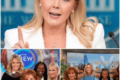 “TOO LATE!” – Karoline Leavitt STRIKES BACK: $800 MILLION LAWSUIT GOES FULL FORCE – ‘The View’ Scrambles for Peace, But the Door Is Closed!