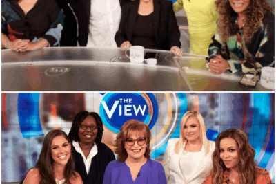 BREAKING: The View will be taking a hiatus and will not be filming anymore episodes in the meantime. This could be permanent!