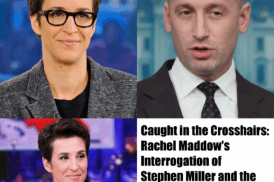 Caught in the Crosshairs: Rachel Maddow’s Interrogation of Stephen Miller and the Collapse of a Political Operator