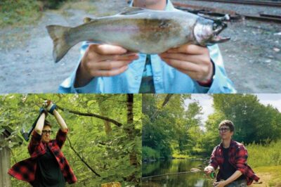 Rachel Maddow gave an interview about her future career — and none of it involves MSNBC. Is she preparing to leave?