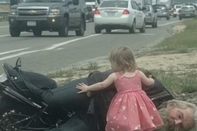 Little Girl In Princess Dress Saved Unconscious Stranger She Found In Ditch