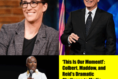 ‘This Is Our Moment!’: Colbert, Maddow, and Reid’s Dramatic Challenge to Media Power Sends Shockwaves Through America