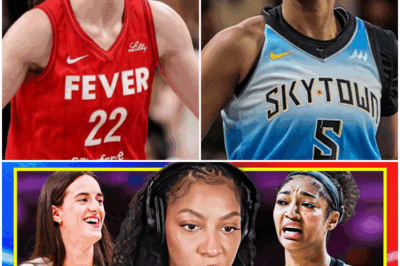 This WNBA Legend STOOD UP to the Anti-Caitlin Mob — And She’s NOT BACKING DOWN