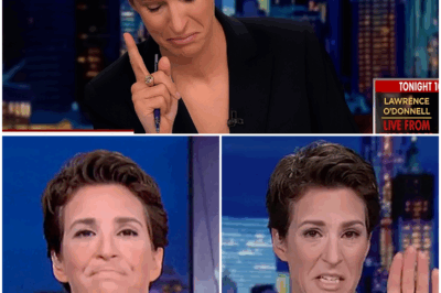 The Unforgettable Night Rachel Maddow Broke Down on Live TV: The Heart-Wrenching Moment That Left Viewers in Shock and Silence as the Veteran Journalist Struggled to Hold Back Tears Over the Tragic Stories of Children Torn from Their Parents—Why Maddow’s Emotional Collapse Wasn’t About Work Pressure, but a Devastating Truth She Couldn’t Ignore.