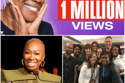 EXCLUSIVE: What MSNBC Thought Was a Victory Has Transformed into a Media Phenomenon for Joy-Ann Reid