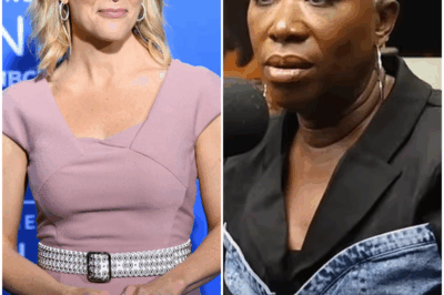 Megyn Kelly reacts to MSNBC firing Joy Reid: ‘Who’s crying now?’